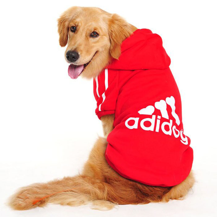 Hospital Veterinario Planeta Vida  - Latacunga Ecuador